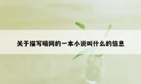 关于描写暗网的一本小说叫什么的信息