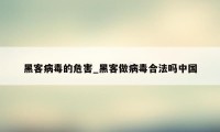 黑客病毒的危害_黑客做病毒合法吗中国