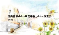 国内首家ddos攻击平台_ddos攻击云平台