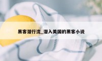 黑客潜行流_潜入美国的黑客小说