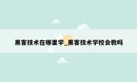 黑客技术在哪里学_黑客技术学校会教吗