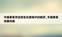 中国黑客传说游走在黑暗中的精灵_中国黑客帝国改编