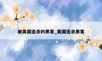 被美国追杀的黑客_美国追杀黑客