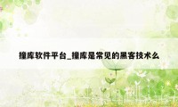 撞库软件平台_撞库是常见的黑客技术么