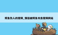 鳄鱼伤人的视频_情侣被鳄鱼攻击视频网站