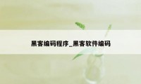 黑客编码程序_黑客软件编码