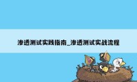 渗透测试实践指南_渗透测试实战流程