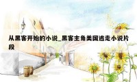 从黑客开始的小说_黑客主角美国逃走小说片段