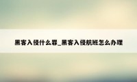 黑客入侵什么罪_黑客入侵航班怎么办理