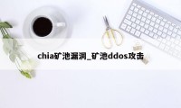 chia矿池漏洞_矿池ddos攻击