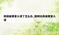 网络被黑客入侵了怎么办_联网玩具被黑客入侵