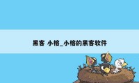 黑客 小榕_小榕的黑客软件