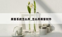 黑客系统怎么弄_怎么弄黑客软件