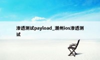 渗透测试payload_潮州ios渗透测试