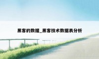 黑客的数据_黑客技术数据表分析