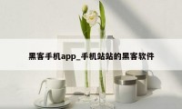 黑客手机app_手机站站的黑客软件