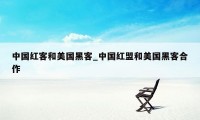 中国红客和美国黑客_中国红盟和美国黑客合作