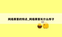 网络黑客的特点_网络黑客长什么样子